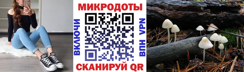 Псилоцибиновые грибы прущие грибы  Купить  Шацк 